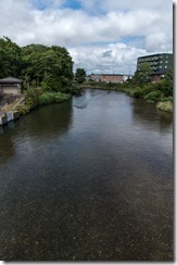 IMGP2360