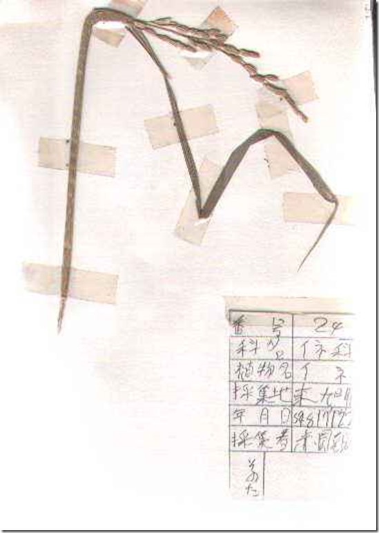 plant24
