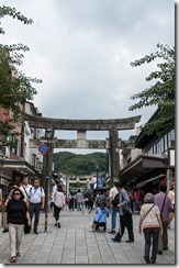 IMGP2414