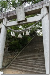 IMGP2453