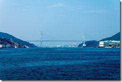 IMGP2533