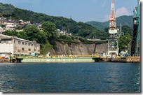 IMGP2551