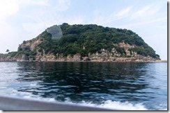 IMGP2596