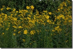 00090-02