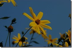 00090-03