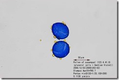00094-03