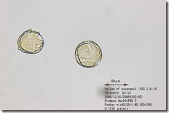 00094-04