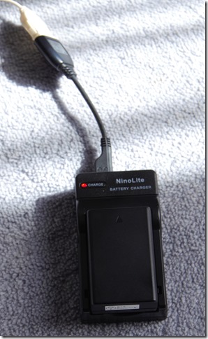 IMGP3252