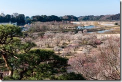 IMGP0197