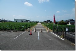 IMGP2850