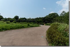 IMGP2860