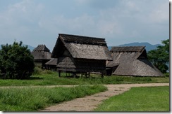 IMGP2866