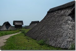 IMGP2868