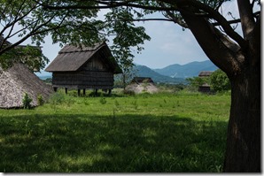 IMGP2875