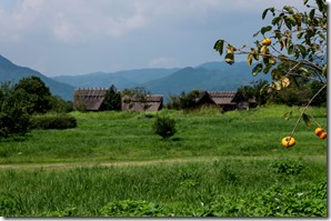 IMGP2878