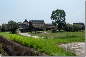 IMGP2883