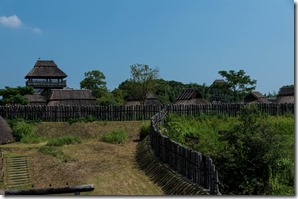 IMGP2884