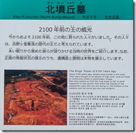 IMGP2900
