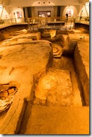 IMGP2901