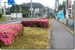 IMGP1731