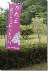 IMGP4706