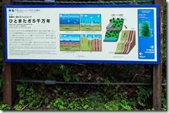 IMGP4846