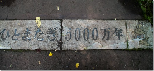 IMGP4848